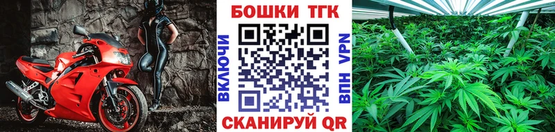 Где купить Николаевск-на-Амуре Псилоцибиновые грибы  Мефедрон  COCAIN  ГАШ  Конопля 