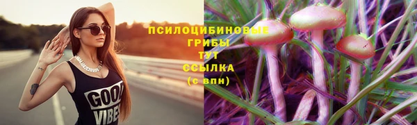гашик Абаза