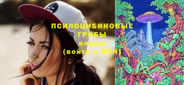 гашик Абаза