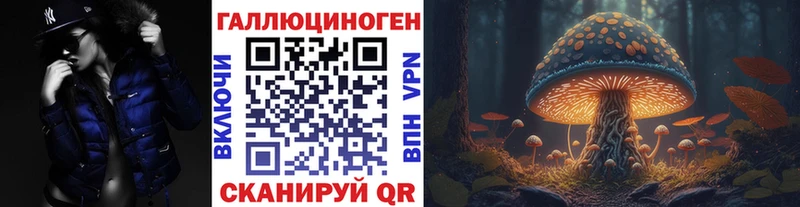 KRAKEN   Николаевск-на-Амуре  Галлюциногенные грибы Magic Shrooms 